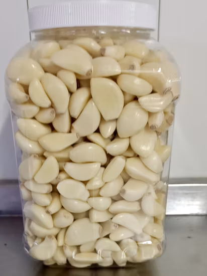 Top Quality Fresh Peeled Garlic