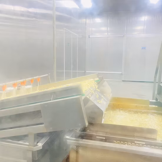 皮をむいたニンニクを塩水に浸す