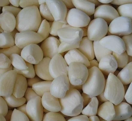 Frozen Garlic Clove Frozen Peeled Garlic From China