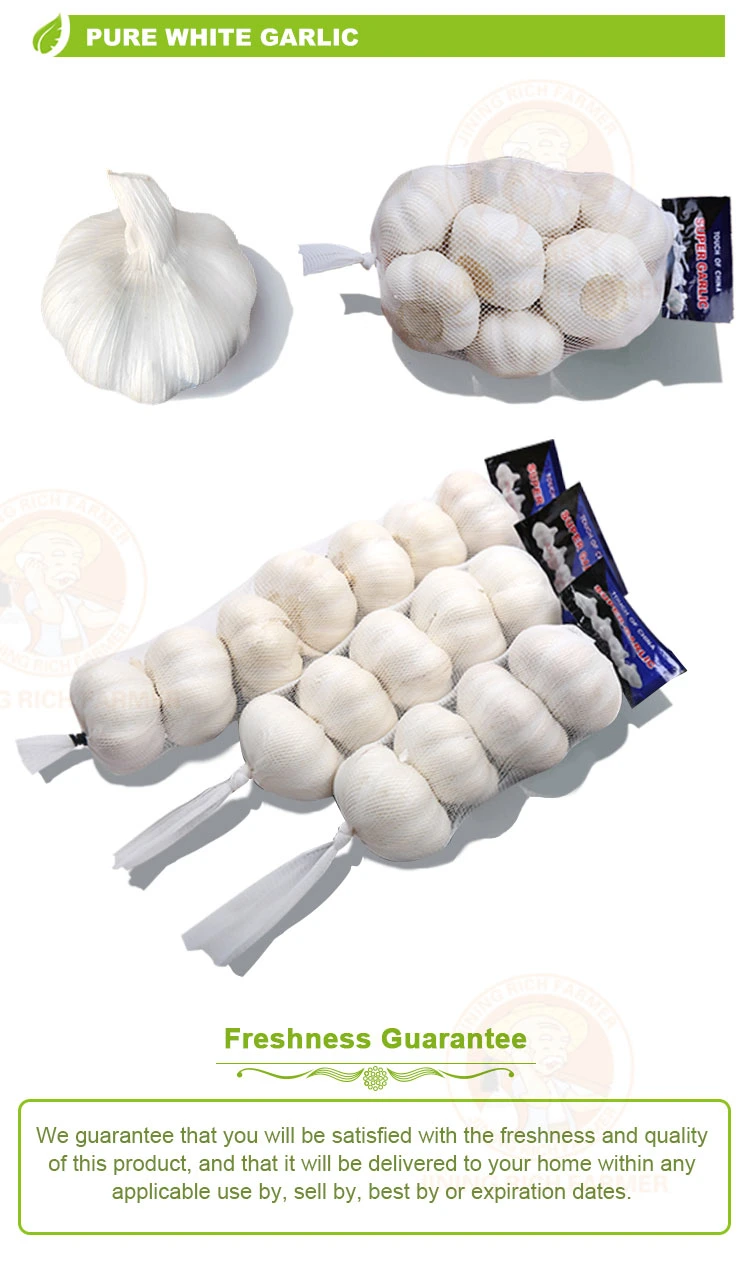 High Quality Fresh Normal White Garlic From Direct Chinese Farm