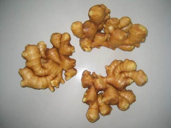 山東省から輸出されたさまざまなサイズの高品質の風乾生姜