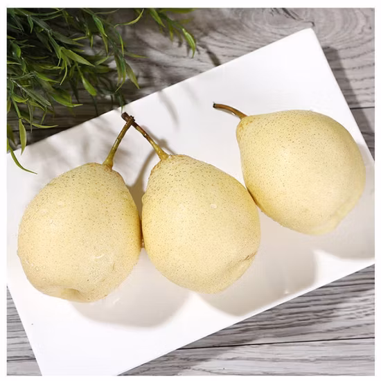 15kg箱 60#72#80 生