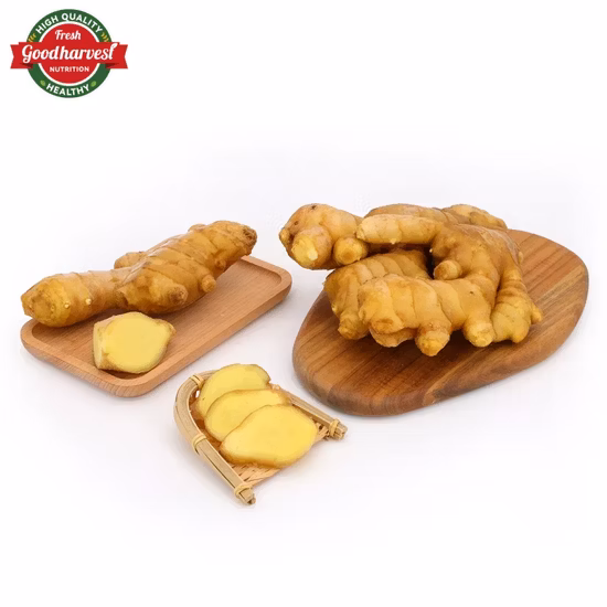 Brc Smetaオーガニック認証を取得した中国の農業健康食品生生姜