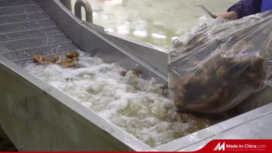 中国卸売若い冷凍新鮮野菜脱水寿司有機収穫脂肪黄生姜工場サプライヤーからの価格