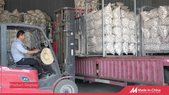中国産の採れたて生ニンニク・純白ニンニク